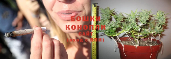 стаф Абдулино
