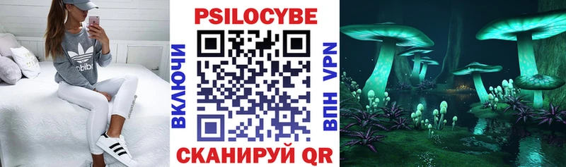 Псилоцибиновые грибы прущие грибы  Томилино 